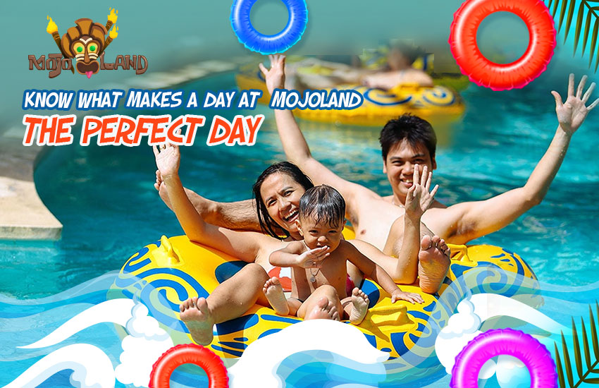 KNOW WHAT MAKES A DAY AT MOJOLAND THE MOST PERFECT DAY!