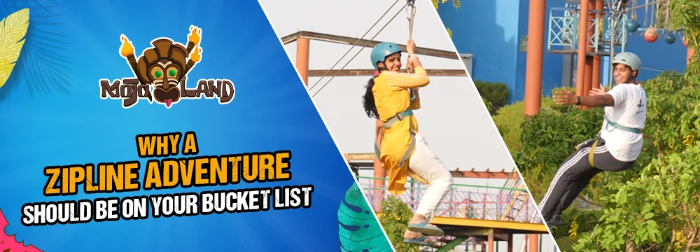 Zipline Adventure