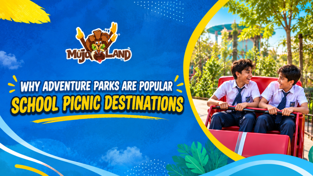 Why Adventure Parks Are Popular School Picnic Destinations